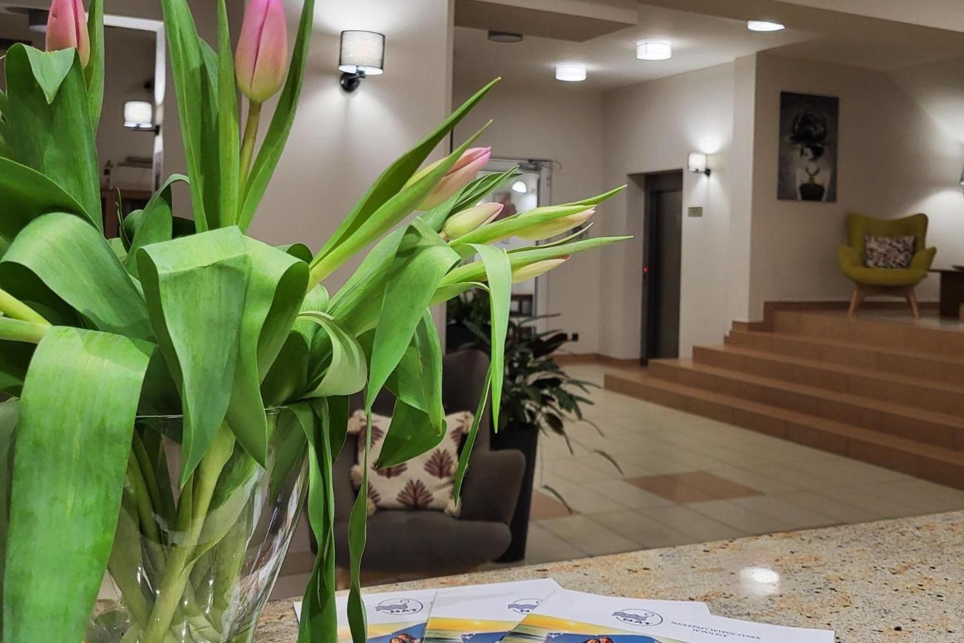 Hotel *** Nat ויסלאו מראה חיצוני תמונה